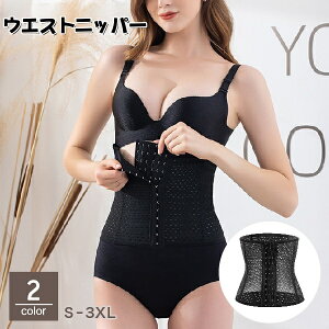  EGXgjbp[ {fBVFCp[ ␳ fB[X 傫TCY YPA T|[g RZbg   tbN т