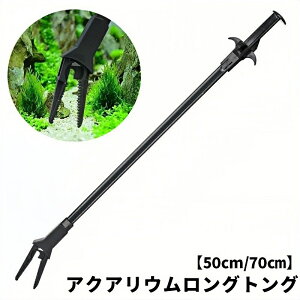  ANAEOgO pgO 50cm 70cm 琬 PA CAEg  |  ꏜ ͂  sZbg