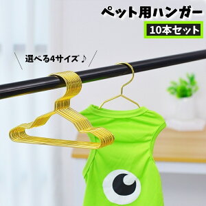  ybgpnK[ 10{Zbg  hbO L Lbg | L ~jnK[ S[hJ[ Vv  Aj}   킢 ybgpi hbOpi [ 