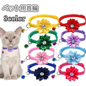  ybgp t L ^ ˂ lR  Ck  t[  DJ ybgpi ybgObY 킢 