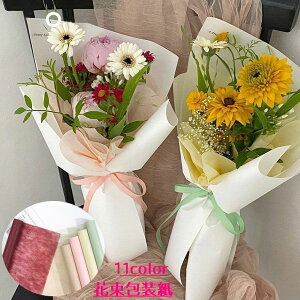   ԑ Mtg bsO u[P h Vv 10m×60cm t[bsO v[g  