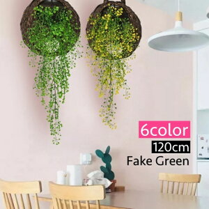   tFCNO[ 120cm [t t   t[ ͂Ȃ lHϗtA   CeA rO   i`