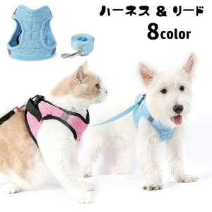  n[lX [h 2_Zbg p Lp ybgpi  UR ʃt@Xi[ ^b`obN R [V o| Ckp lRp ybgObY o|