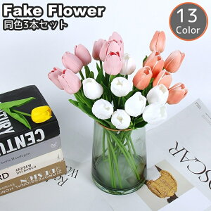   tFCNt[ F3{Zbg 3{Zbg 33cm 11  t[ `[bv ͂Ȃ lHϗtA   CeA rO    i` 