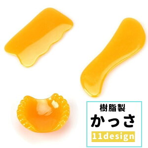   c{_ 􂦂 ܂ c{   w̑p  C ՗  ZtPA