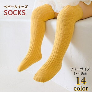  C ƂȂ nC\bNX xr[ LbY qp ̎q j̎q  n PF Vv JWA JoLx 킢  o ig Ԃ  j 