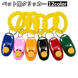  ybgpNbJ[ J  ybg g[jO P XvOS XgXgbvt Vv pi pi ybgpi JoLx