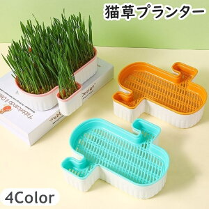  Lv^[ L|bg L{bNX ybgpi Lpi L ˂ lR k͔| e P[X̂    Vv 