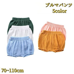  u}pc q xr[ LbY Ԃ I[o[pc ڂpc {gX V[gpc n   Vv JWA j̎q ̎q