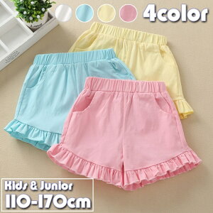  V[gpc q LbY WjA ̎q Zp Y{ t {gX EGXgS n PF   킢 K[[ L[g |Pbgt q K[