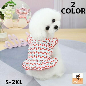  ybgEFA hbOEFA ybgpi  L s[X XJ[g t `F[ TN{  킢 o U