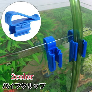  pCvNbv z[Xz_[  ANAEpi z[X pCv Œ |   Mы