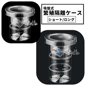  ɐBuP[X YP[X uP[X zՎ 2w ɐBu{bNX p Oup {bNX upi ybgObY ybgpi ANAEpi 琬P[X Y z Y