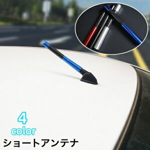  V[gAei J[{ 12cm [^Cv ėp J[Aei ԗpi wJAei JX^ p[c O J[pi  ʎ