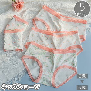  V[c LbY ̎q q Ci[   pc  X^_[h t[ {^jJ [t ig fC[ 킢