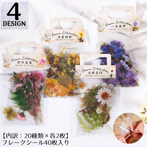  t[NV[ XebJ[ 40Zbg R[W  A 蒠fR Ao L J_[ v[g Mtg g