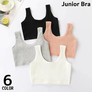  WjAu t@[Xgu X|[cu ̎q w Z uW[ Ci[  mC[ tJbv ʋC