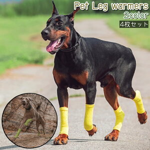  ybgpC bOEH[}[ 4Zbg  L ybg bOJo[ bOK[h  \bNX F  Vv ^ ^ ی h~ U o