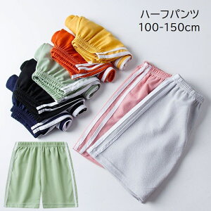  n[tpc LbY WjA xr[ ̎q j̎q qp {g Y{ 5 EGXgS C n ubN  JWA 킢 Vv ig