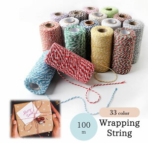  bsOR pR bsO{ p{ 2mm 100m bsOpi pi ޗ PF ~bNX v[g Mtg 蕨 DIY i`  JoLx