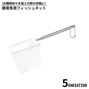  tBbVlbg ӏ܋p   Lk lp` ~` ی^ | ւ S~ ړ  Mы  ANAEpi