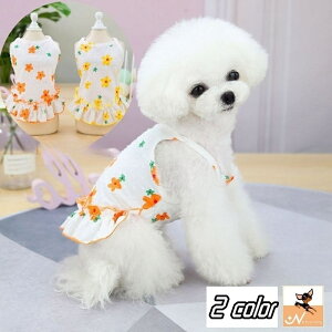  hbOEFA s[X  m ybgEFA ybgpi p Lp ^   t[ L~\[ Ȃ t K[[  ybgObY  Ck 