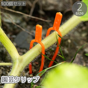  |Nbv 100Zbg tH[N A s   Œ U ߂ n y K[fjOpi _  C`S XCJ Tc}C ȒP ֗