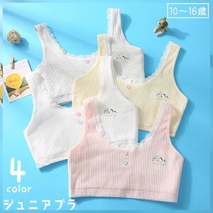  n[tgbvu mC[u X|[cu WjA ̎q qp Ci[ uW[ X|u un {^ [X UlbN  o[h 킢 L[g Vv