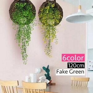   tFCNO[ 120cm [t t   t[ ͂Ȃ lHϗtA   CeA rO   i`