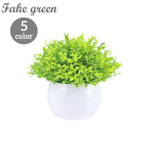   tFCNO[ lHA [t t A ϗtA   u CeA rO  Q  i`