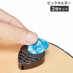 �������� �s�b�N�z���_�[ 2�Z�b�g �s�b�N�P�[�X �M�^�[�p�i �S���e�[�v �s�b�N���[ �s�b�N�Œ� �����h�~ �O�p�` �u���b�N �V���v��