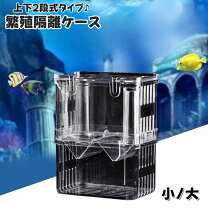 楽天市場】水槽 繁殖 ケースの通販