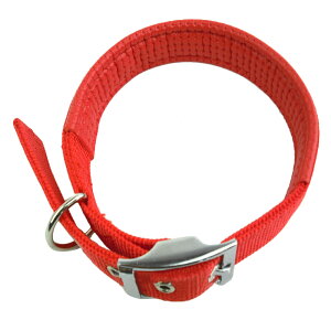  ̎ p  т J[ ^ ^ ^ n 4F 5TCY Vv ybgpi pi hbOpi ObY Upi