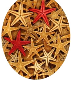  gCXebJ[ ֍V[ EH[XebJ[ EH[V[ gCp ֊̊W gCfR[V DIY Ǒ PVC \Ă͂ h IV i 