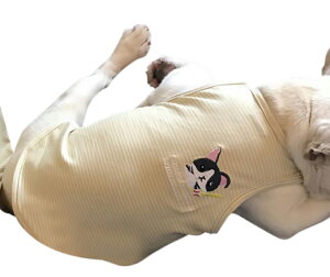  ybgEFA ^Ngbv  m  L {[_[ hJ hbOEGA m[X[u Jbg\[ Ȃ   킢 ^ ^ ybgp Ckp ʗp lRp 