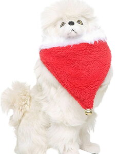  ybgpRX`[  L RXv nEB NX}X  ݂ 񂩂 Xq Ԃ蕨 Cxg p[eB ybgEGA pi Lpi  j[N T^ J{