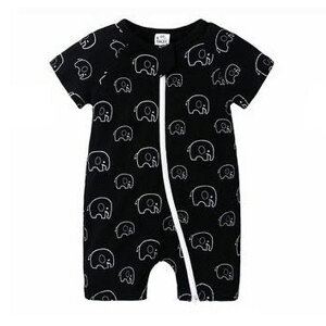  Jo[I[  EhlbN WbvAbv V nCA AWA  Jt   ĕ xr[