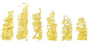  lCp[c ^p[c 6ރZbg ^bNp[c X^bY uI lCA[gpi lCObY fR[Vp[c ANZT[p[c `[ n[g O 