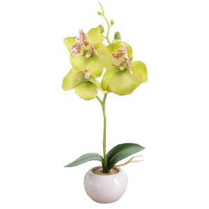   Ӓ R`E  ̓ ~j|bg ~jA C~e[V tFCNt[ CeA  IV Y ꂢ  킢  G Ce