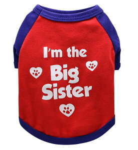  hbOEFA  TVc p pi ybg ̕   p Vv vg |bv  t  ^   Ck hbO ybg ybgpi ybg 񂿂 