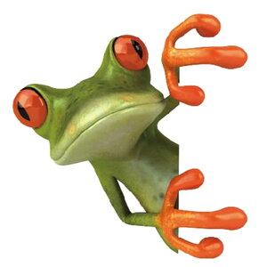  EH[XebJ[ ǎV[ [fR[V EH[fR[V DIY ǖʑ Ǒ   t \tȒP B LYB G  Ce