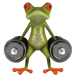  EH[XebJ[ ǎV[ [fR[V EH[fR[V DIY ǖʑ Ǒ   t \tȒP B LYB G  Ce