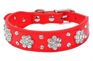   p^ ^ Lp ybgpi ybgObY bh sN ubN u[ CXg[  킢 o U