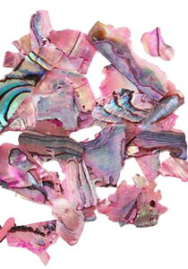  lCp[c VFt[N lCA[g lCpi NbVVF VFpE_[ Lk zO lCp fRlC lCObY fR[Vp[c LL