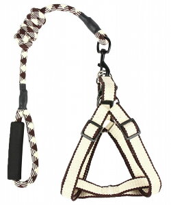  [h n[lX 2_Zbg  p Ck ^ ybgpi ybgObY ₷ Vv  U o|