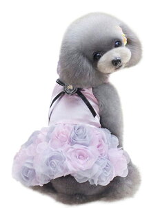  ybgEGA ^  ̕ hX s[X t {  KN tH[}  킢 tF~j