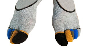  ܖ{w\bNX Y C Jo[\bNX tbgJo[ [t@[C x[V[g Xj[J[ JWA   jp am Jt 5{w X|[c N u