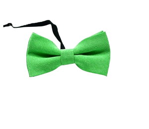  lN^C LbY qp j̎q ̎q  n w Ǝ \  p[eB[ tH[} JWA