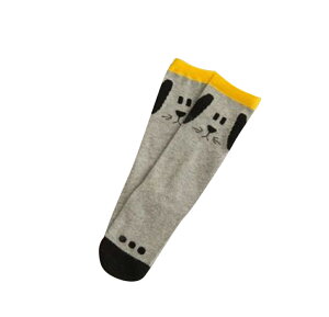  C \bNX nC\bNX O qp q LbY xr[ j̎q j ̎q  {[_[     06