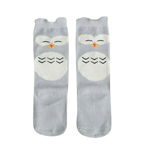  C \bNX nC\bNX O qp q LbY xr[ j̎q j ̎q  {[_[     06